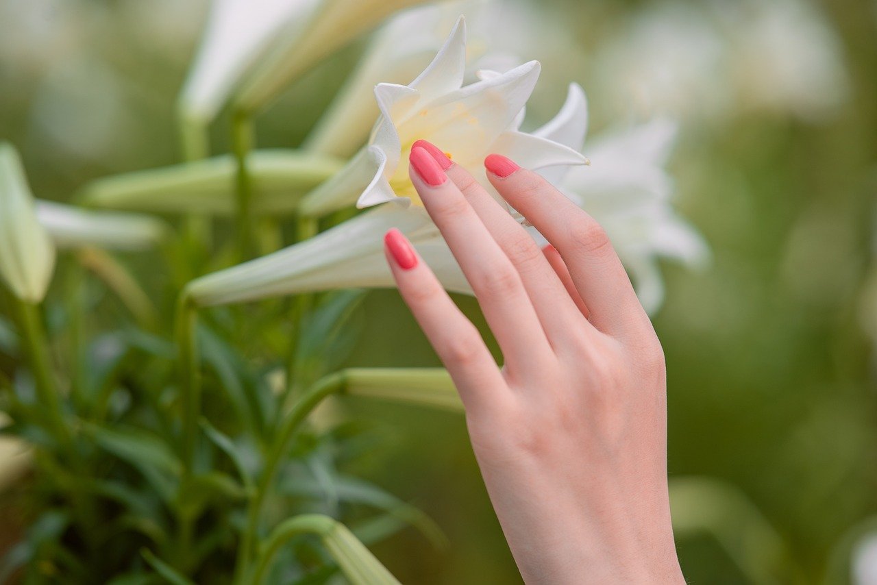dipping powder nageltrend