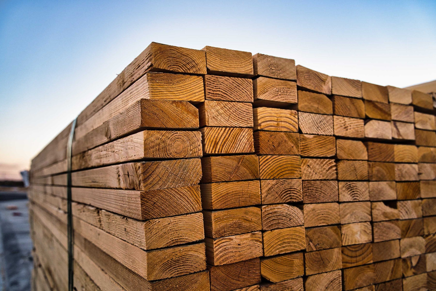 hout kopen