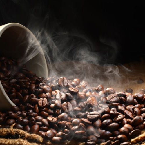 koffiebonen groei branden zetmethoden
