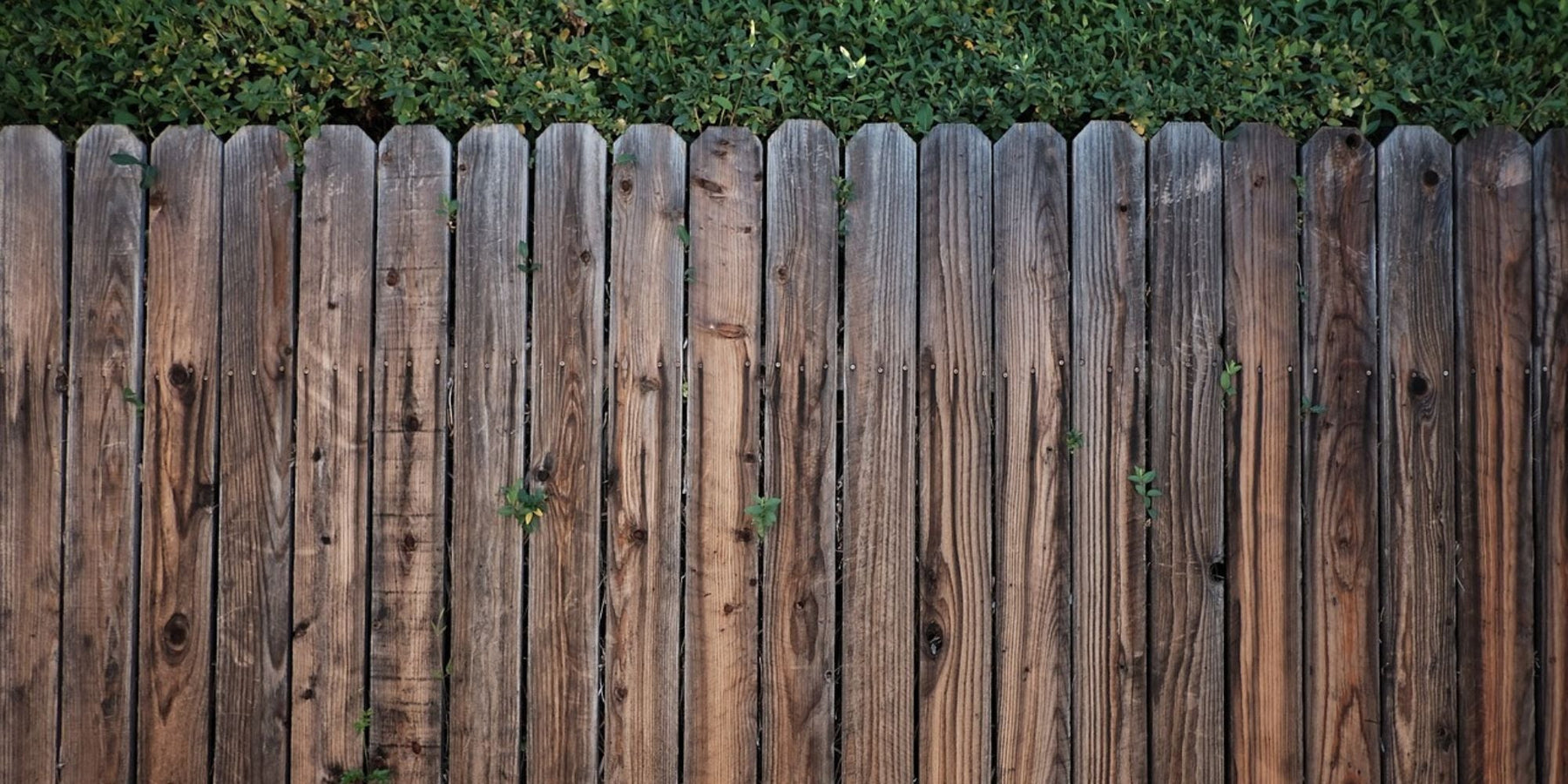 privacy tuin 4 tips