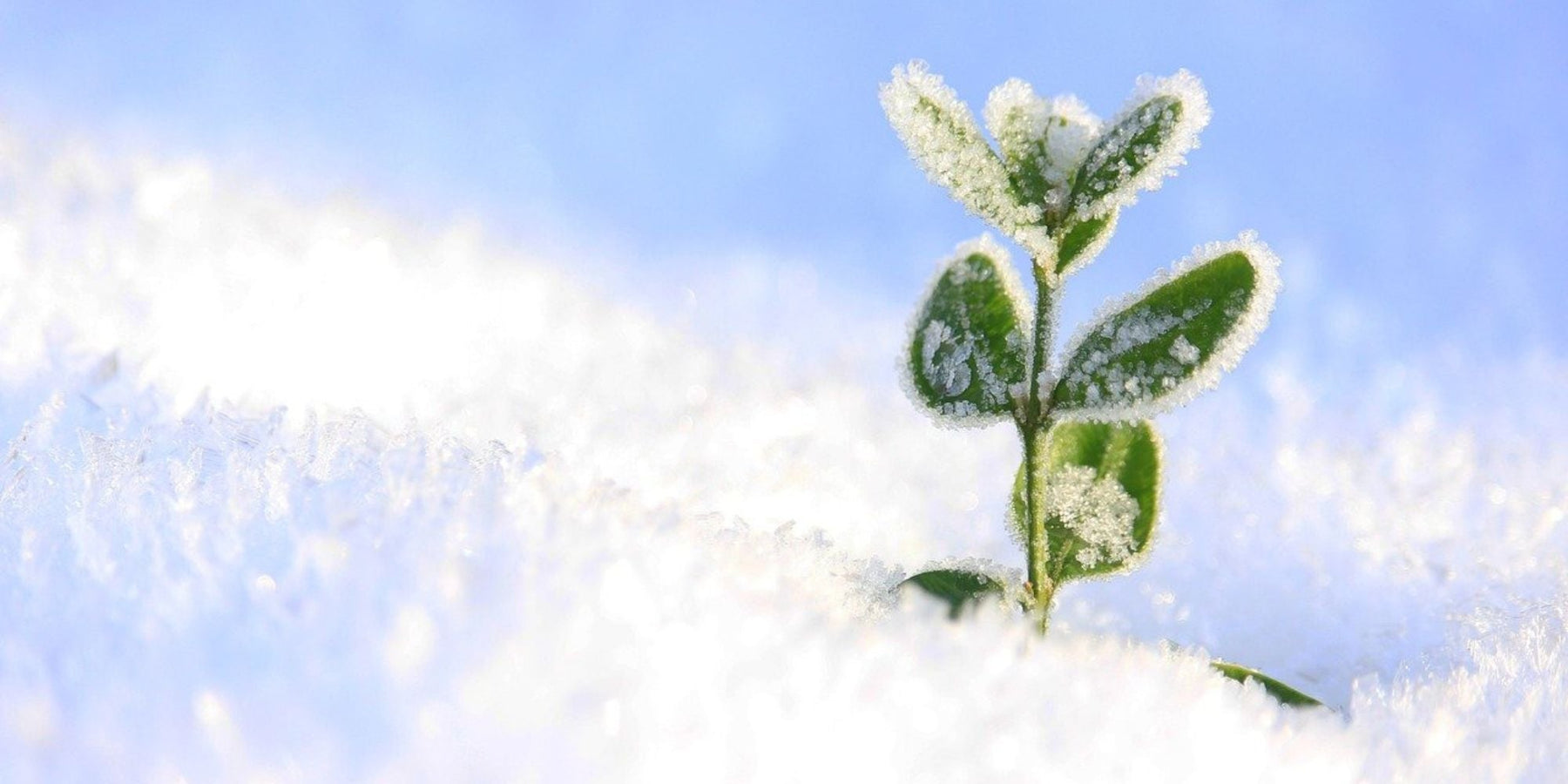 winterslaap tips blijf warm en gezellig in de winter