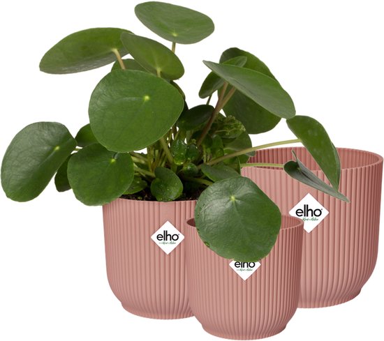 Elho Vibes Fold Rond - Bloempotten - Set van 3 roze - ThatLyfeStyle