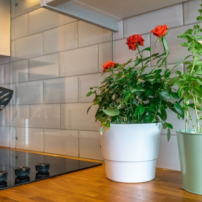 5 tips keuken nieuwe stijl geven