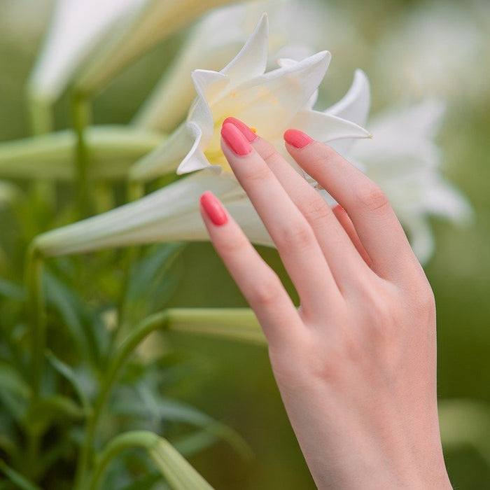 dipping powder nageltrend