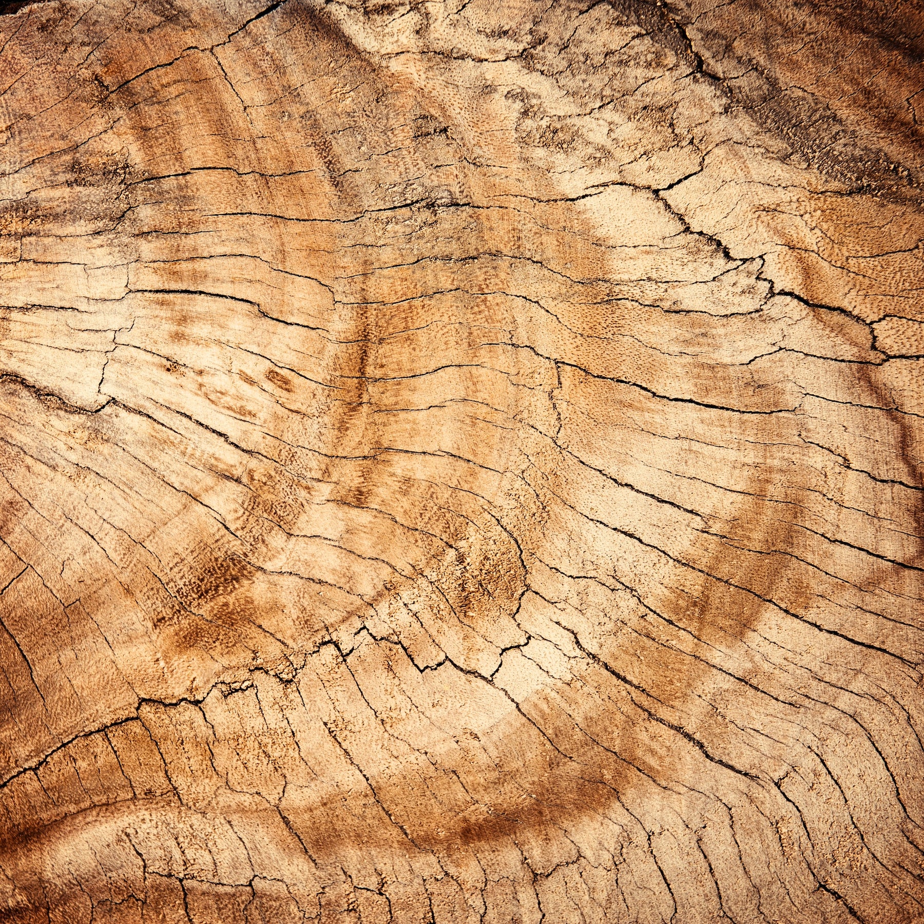 duurzame kunststof kozijnen met houtnerfstructuur