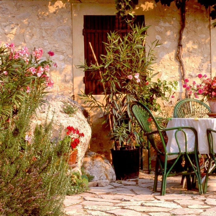 franse tuin inspiratie