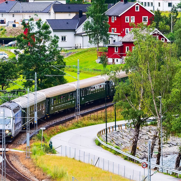 luxe treinreis noorse fjorden