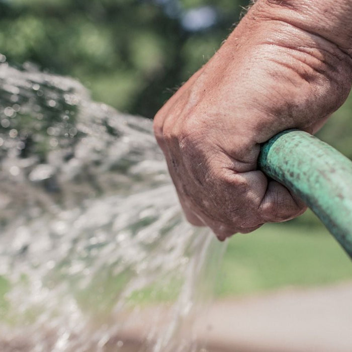 onderhoudsvriendelijke tuin tips