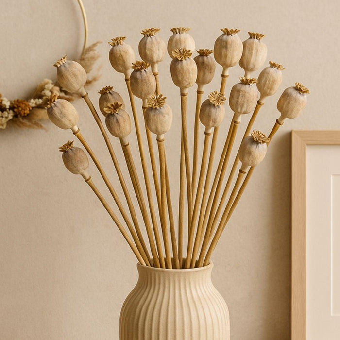 papaver creatieve projecten