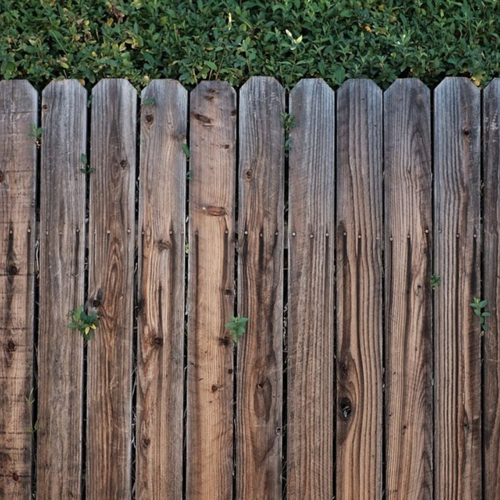 privacy tuin 4 tips