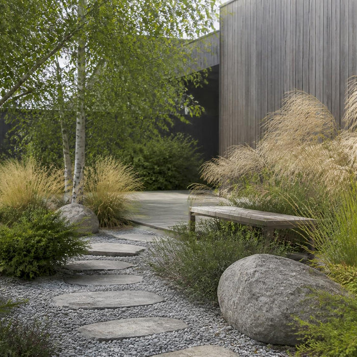 rustige tuin in baltische stijl met siergrassen berken granieten pad en vergrijsd hout