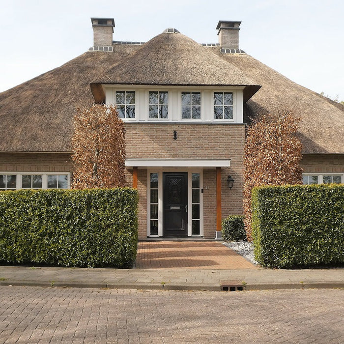 verhuizen verbouwen amsterdam