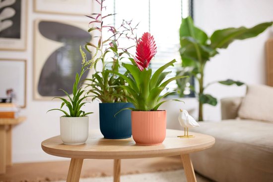 Goedkope bloempotten