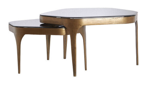 Light & Living Organische Salontafel Avi Glas en metaal, Set van 2 stuks - Smoke