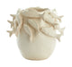 Light & Living Vaas Fish Keramiek, 27cm - Crème - Ovaal