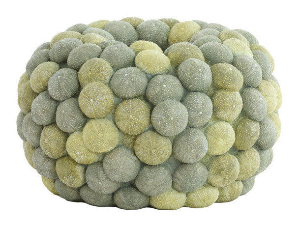 Light & Living Vaas Sea Urchin 23cm - Groen - Rond