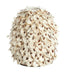 Light & Living Vaas Ubate Schelpen, 21cm - Crème - Rond