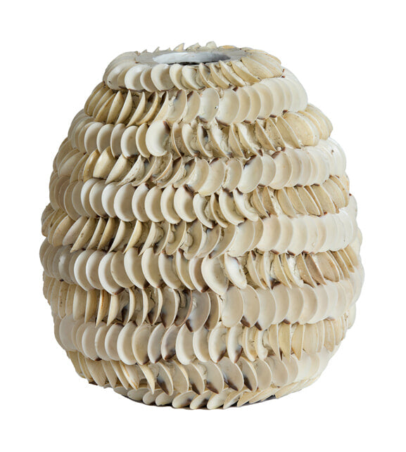 Light & Living Vaas Sarria Schelpen, 27cm - Crème - Rond
