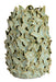 Light & Living Vaas Mariposa Keramiek, 26cm - Mintgroen - Rond