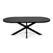 Stalux Plat Ovale eettafel Noud - zwart / zwart marmer - Ovaal
