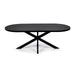 Stalux Plat Ovale eettafel Noud - zwart / zwart eiken - Ovaal