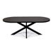 Stalux Plat Ovale eettafel Noud - zwart / bruin hout - Ovaal