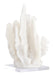 Richmond Decoratie Lilly Polyresin, 25cm - WIT