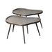 Richmond Salontafel Bean Mdf/Metaal, 76 x 58cm, Set van 2 stuks - Zilver - Organisch