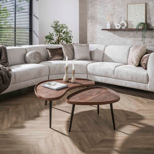 LifestyleFurn Organische Salontafel Alania Acaciahout, Set van 2 stuks - Massief acacia bruin