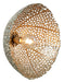 Light & Living Wandlamp Sinula 45cm - Goud