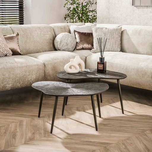 LifestyleFurn Organische Salontafel Teara Leaf Ray Metal finish, Set van 2 stuks - Brons donkerbruin - ThatLyfeStyle