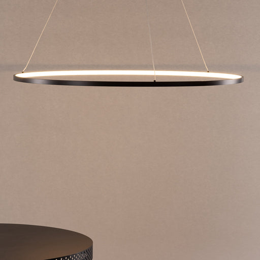 Nohr Hanglamp Isaias Ring LED 100cm - zwart - ThatLyfeStyle