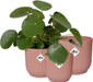 Elho Vibes Fold Rond - Bloempotten - Set van 3 roze - ThatLyfeStyle