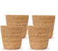 WL Plants - Maki Naturel - Set van 4 - Plantenmand Riet - ThatLyfeStyle