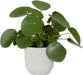 Elho Vibes Fold Rond - Bloempotten - Set van 5 - Zijdewit - ThatLyfeStyle
