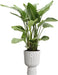 Elho Vibes Fold Coupe 30 - Bloempot - Zijdewit - ThatLyfeStyle