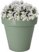 Pro Garden bloempot Botanic - kunststof - groen - ThatLyfeStyle