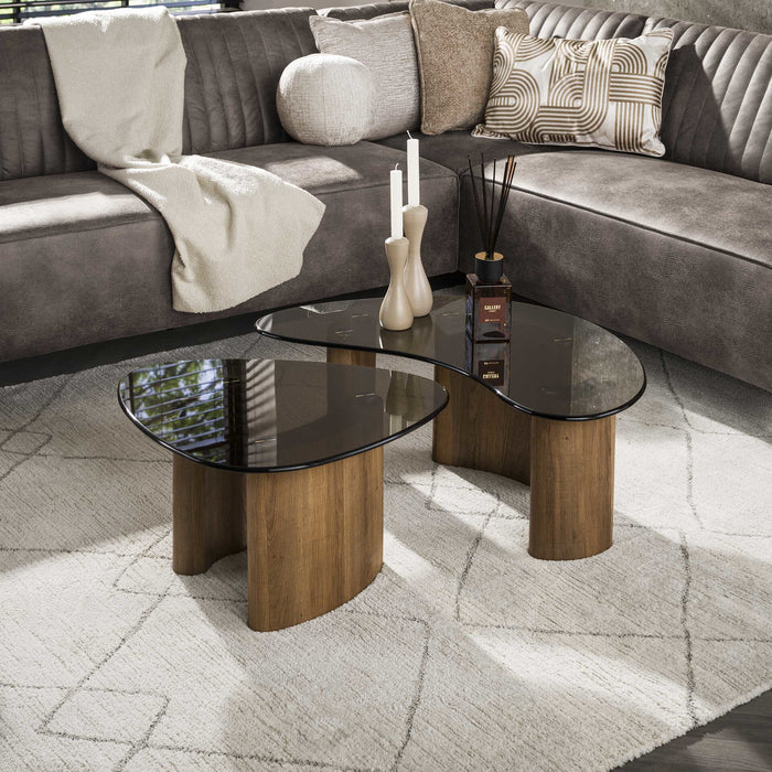 LifestyleFurn Organische Salontafel Kely, set van 2 stuks, Brons glas - Bruin