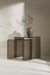 Nohr Bijzettafel Rockwell Glas, Set van 2 stuks - Bruin - Vierkant - ThatLyfeStyle
