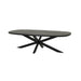 Tower Living Deens Ovale Salontafel Silvi Mangohout, 130 x 70cm