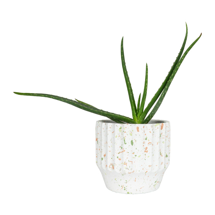 QUVIO Bloempot spikkels - Beton - Diameter 18 cm