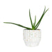 QUVIO Bloempot spikkels - Beton - Diameter 18 cm