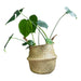QUVIO Decoratieve opbergmand van vlas met handvaten - 26 x 25 cm