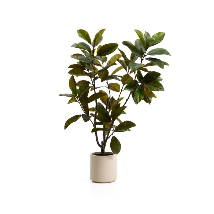 Kave Home Kunstplant Magnolia 160cm - Groen