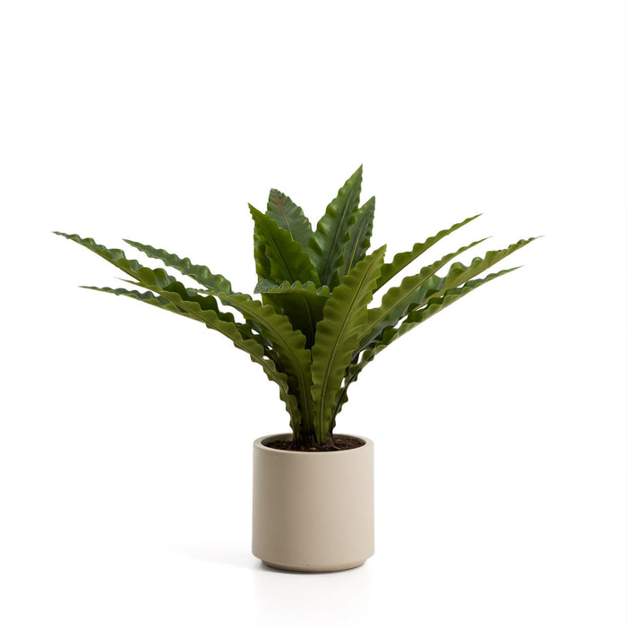 Kave Home Kunstplant Neottopteris 70cm - Groen