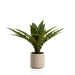 Kave Home Kunstplant Neottopteris 70cm - Groen