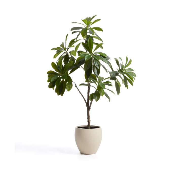 Kave Home Kunstplant Frangipani 240cm - Groen