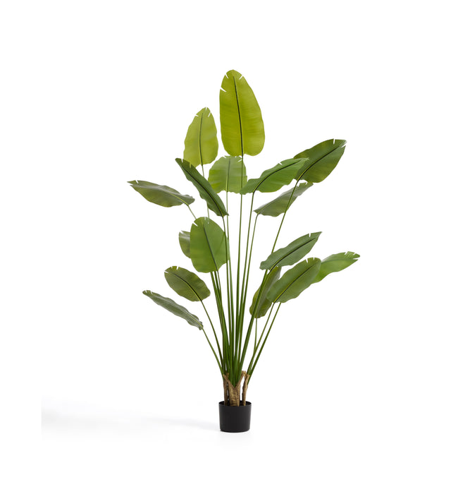 Kave Home Kunstplant Banano 248cm - Groen