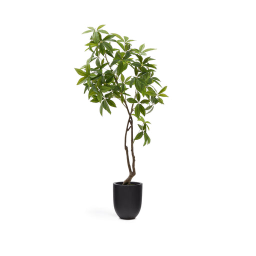 Kave Home Kunstplant Pachira 180cm hoog - Groen - ThatLyfeStyle