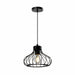 QUVIO Hanglamp modern - Draadlamp - D 22 cm - Zwart